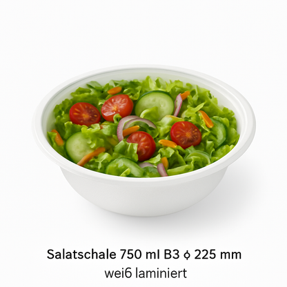 DayBays Salatschale 750 ml B3 ø 225 mm weiss laminiert